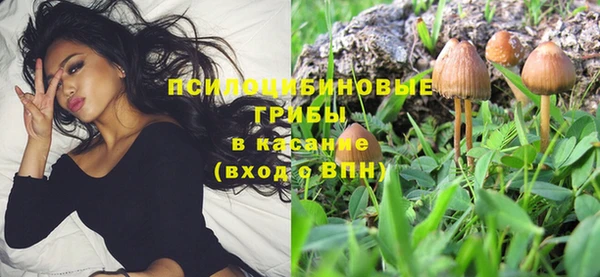 твердый Михайлов