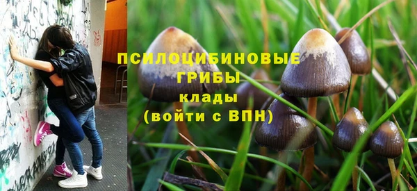синтетический гашиш Бородино
