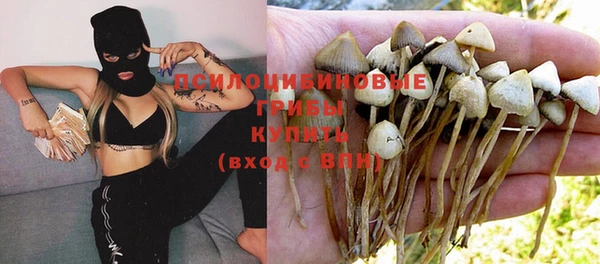 синтетический гашиш Бородино
