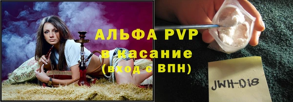 твердый Михайлов
